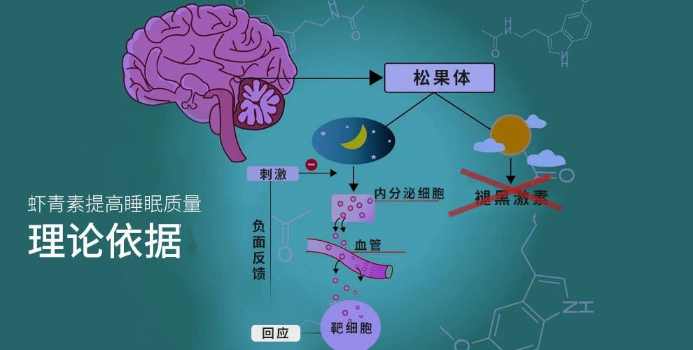 艾詩(shī)特蝦青素