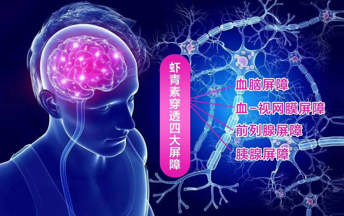 艾詩特蝦青素