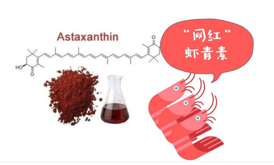 艾詩特蝦青素
