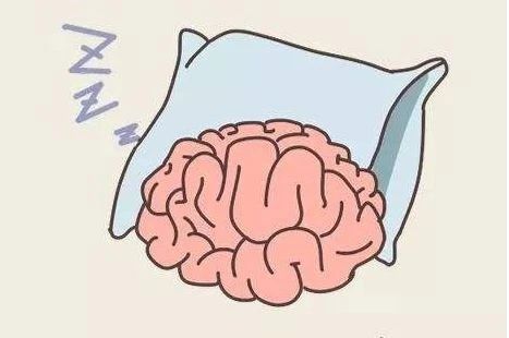 艾詩特蝦青素