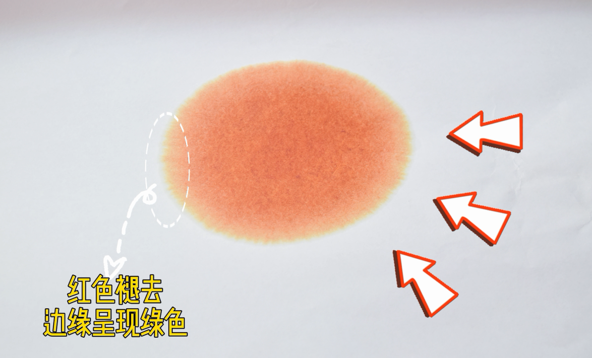 艾詩特蝦青素