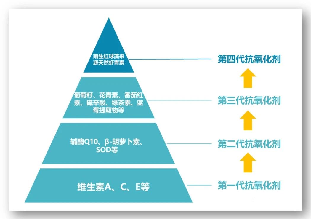 艾詩特蝦青素