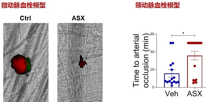 艾詩(shī)特蝦青素