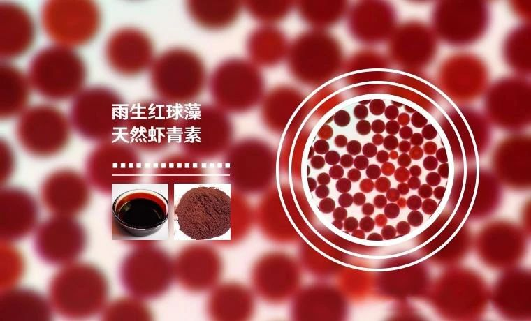 艾詩特蝦青素