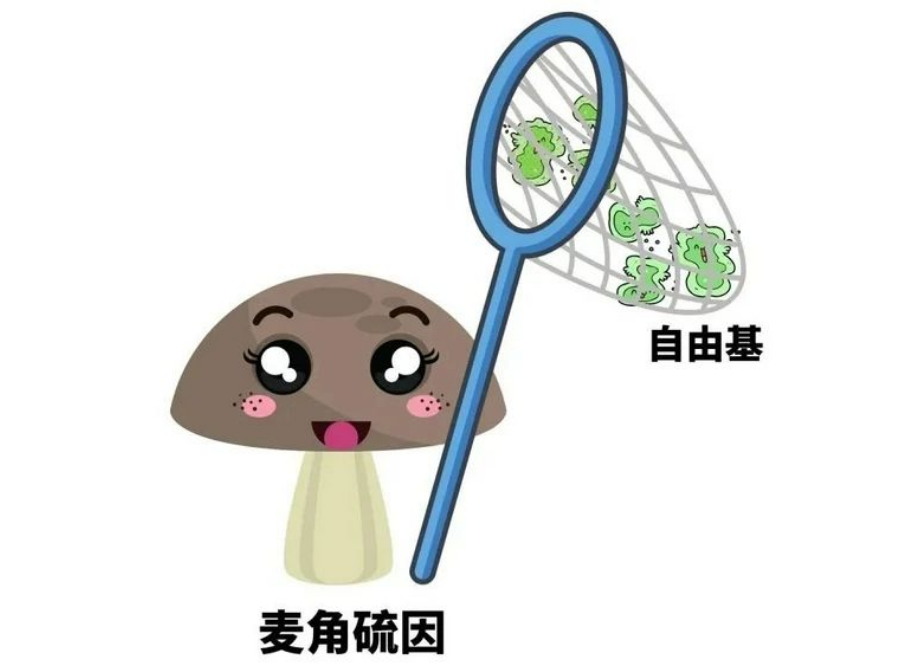 艾詩特蝦青素