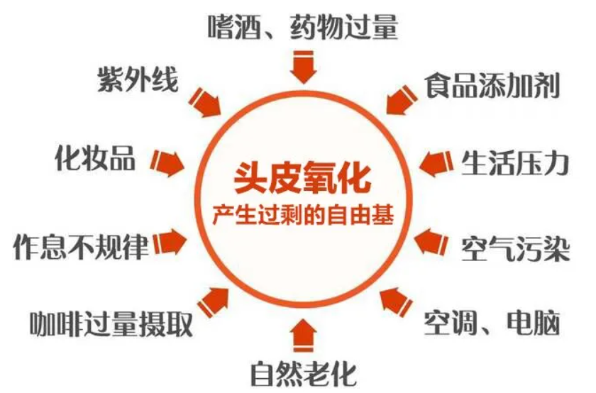 艾詩特蝦青素
