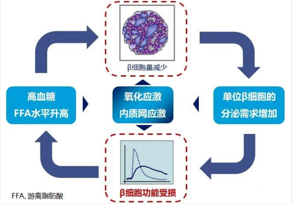 艾詩特蝦青素