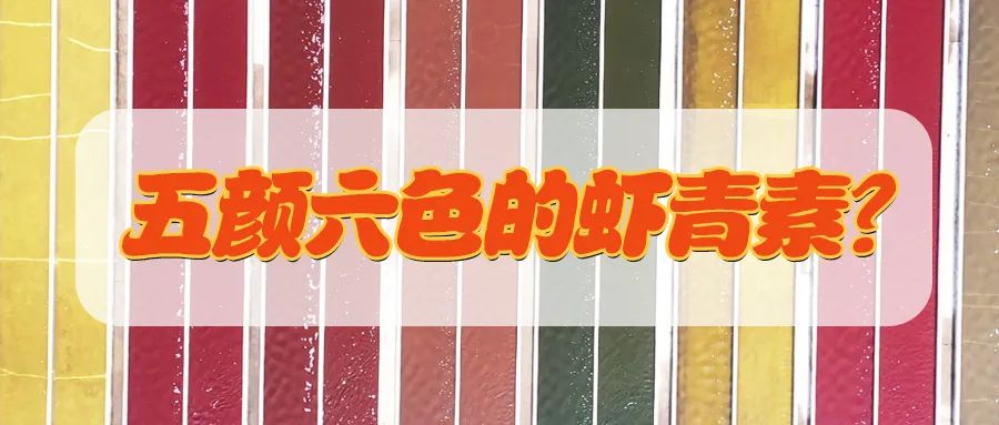艾詩特蝦青素