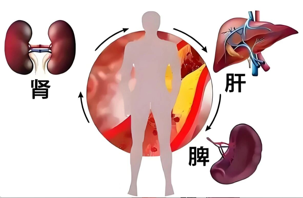 艾詩(shī)特蝦青素 艾詩(shī)特蝦青素