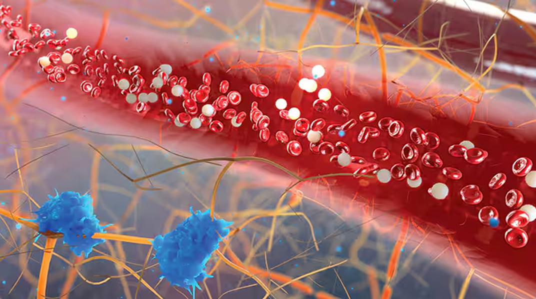 艾詩(shī)特蝦青素 艾詩(shī)特蝦青素