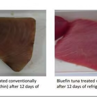 湖北農(nóng)科院：蝦青素對(duì)肉類抗氧化研究