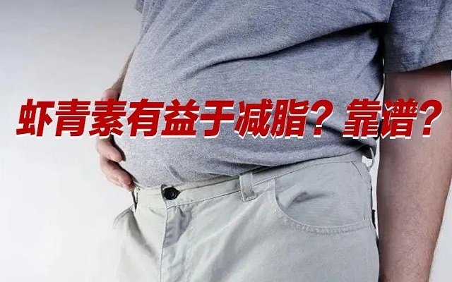 【冷知識(shí)】肥胖居然是一種炎癥！蝦青素有益于“消炎”？