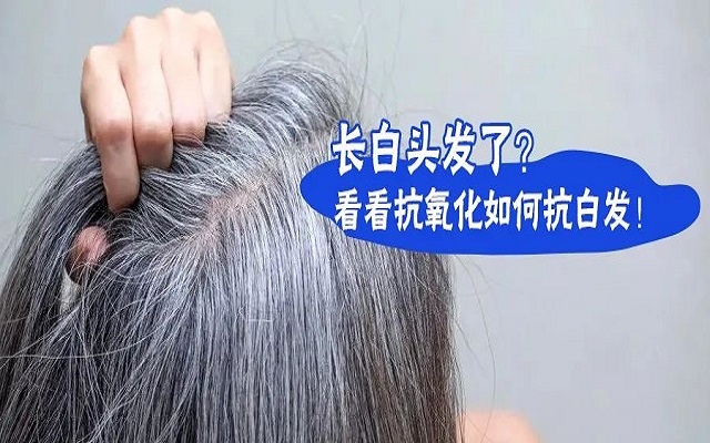 防治白發(fā)要從抗氧化開始？