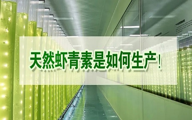 天然蝦青素是如何生產(chǎn)？走進(jìn)源頭工廠看一看！