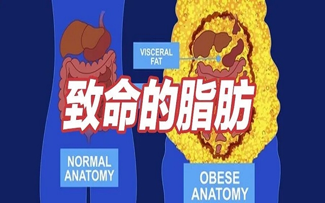 這種致命的脂肪，你可能正在瘋狂囤積！1分鐘自測!